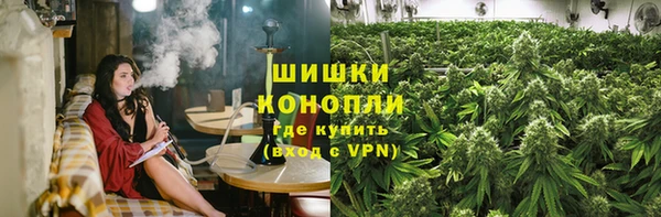 трава Гусиноозёрск