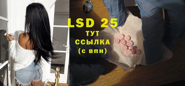спиды Горняк