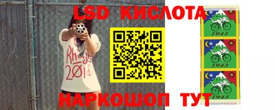 винт Краснодар