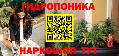 твердый Краснознаменск