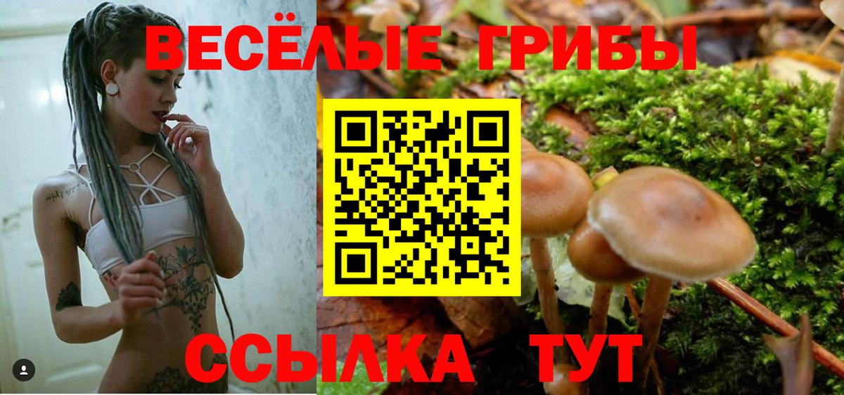 Галлюциногенные грибы Magic Shrooms  Псилоцибиновые грибы Cubensis  Вход с VPN  Мончегорск 