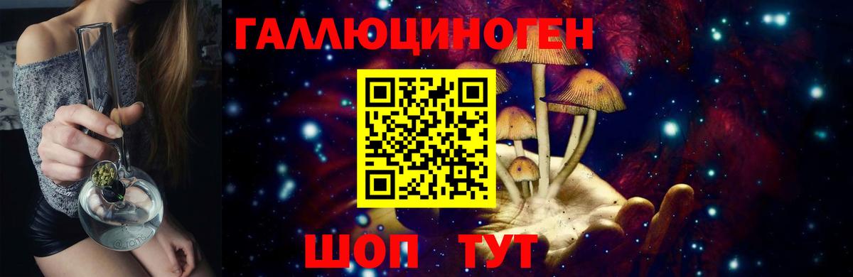 Галлюциногенные грибы Psilocybe Мончегорск
